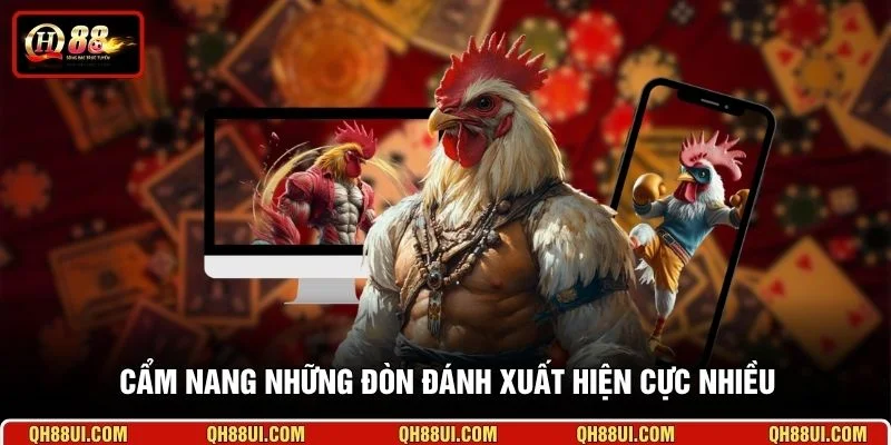 Cẩm nang những đòn đánh xuất hiện cực nhiều