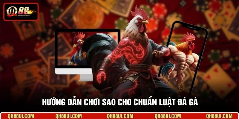 Hướng dẫn chơi sao cho chuẩn luật đá gà