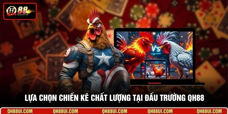 Lựa chọn chiến kê chất lượng tại đấu trường QH88