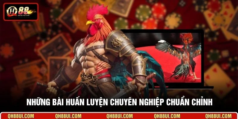 Những bài huấn luyện chuyên nghiệp chuẩn chỉnh